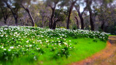 Chandlers Smiths Beach Villas - Accommodation Mt Buller 13
