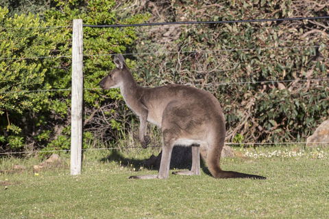 Chandlers Smiths Beach Villas - Accommodation Mt Buller 15