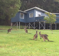 Blue House Denmark - Accommodation Mt Buller