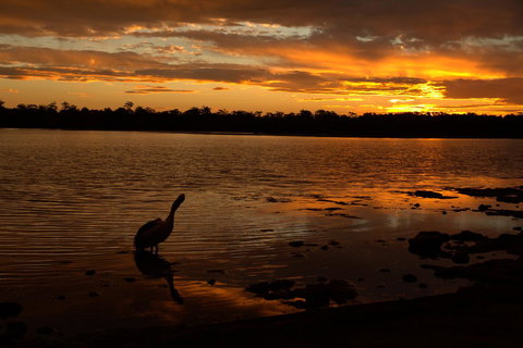 Dungowan Holiday Accommodation - Accommodation Mt Buller 31