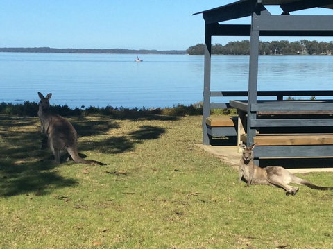 Dungowan Holiday Accommodation - Accommodation Mt Buller 33