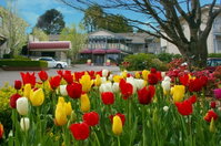Book Leura Accommodation Vacations Accommodation Mt buller Accommodation Mt buller