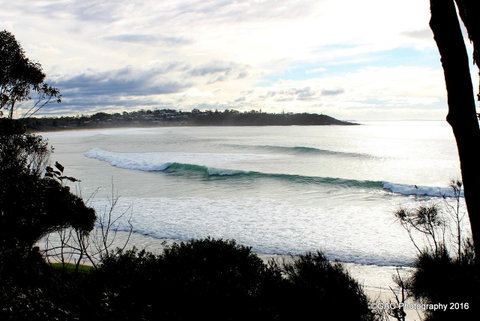 Mollymook Cove Apartments - Accommodation Mt Buller 2