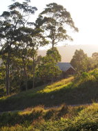 Book Bawley Point Accommodation Accommodation Mt Buller Accommodation Mt Buller
