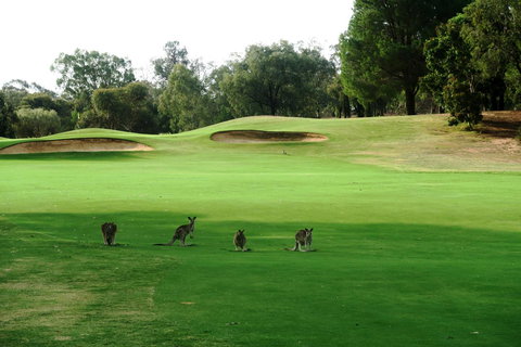 Mulwala Resort - Accommodation Mt buller 40