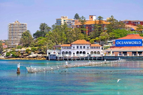 STUNNING MANLY VIEWS - Accommodation Mt buller 13