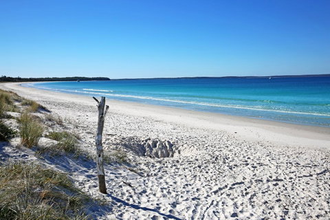Sandy Toes Beach House Jervis Bay - 2min To Beach - Accommodation Mt Buller 22