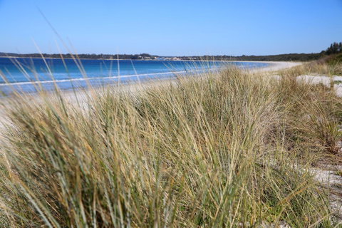 Sandy Toes Beach House Jervis Bay - 2min To Beach - Accommodation Mt Buller 23