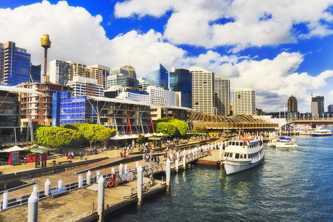 Vibe Hotel Sydney Darling Harbour - Accommodation Mt Buller 12