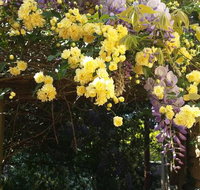 Bowral Road Bed and Breakfast - Accommodation Mt buller