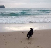 Breakers at Mudjimba Beach - Accommodation Mt Buller