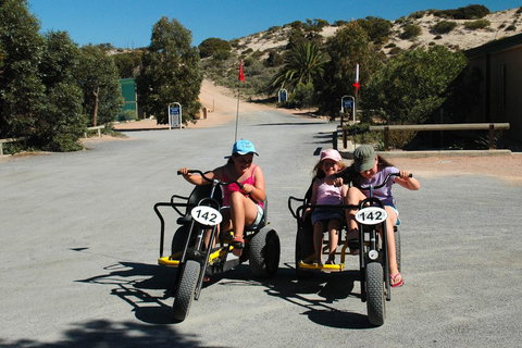Ceduna Shelly Beach Caravan Park - Accommodation Mt Buller 1