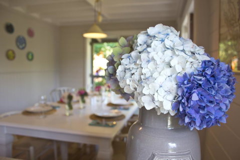 Cherry Cottage - Leura - Accommodation Mt buller 1