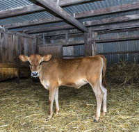 Dairyman's Cottage - Accommodation Mt Buller
