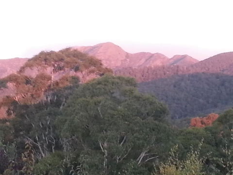 Day Dream Cottage - Accommodation Mt Buller 2