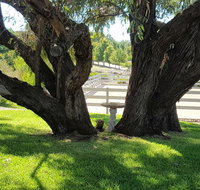 Farm Stay Studio - Accommodation Mt Buller