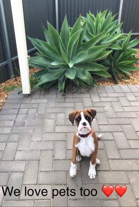 Gawler Townhouse 1 Bedroom - Accommodation Mt Buller 3