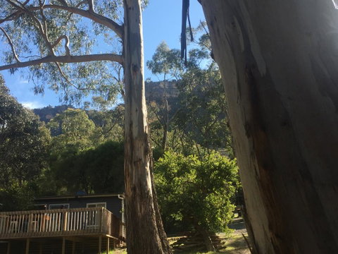 Grampians Nest - Accommodation Mt Buller 0