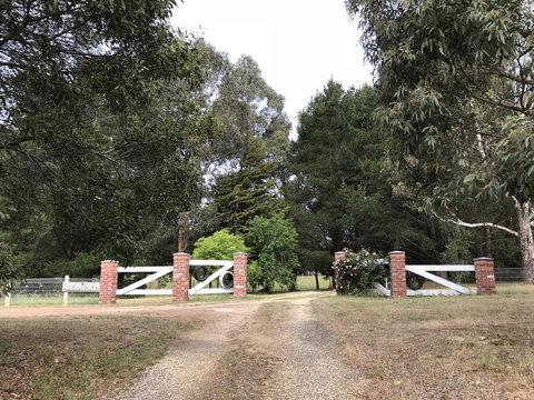 Helen's Luxury Hut - Accommodation Mt Buller 3