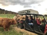 Book Ranelagh Accommodation Vacations Accommodation Mt Buller Accommodation Mt Buller