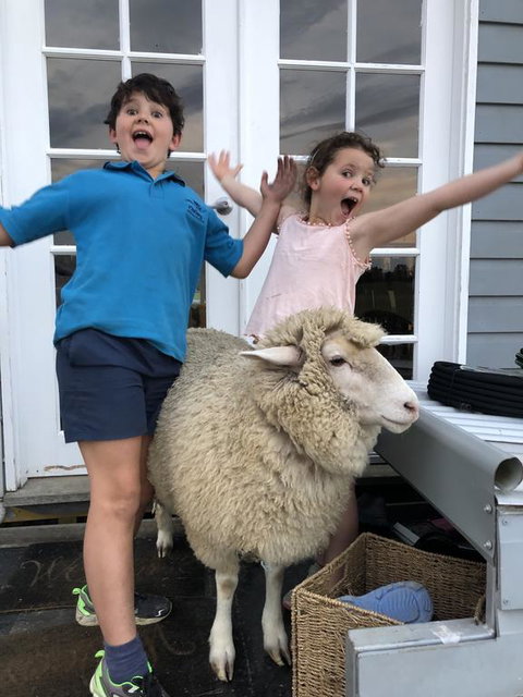 Jackaleah Farm Stay - Accommodation Mt Buller 2