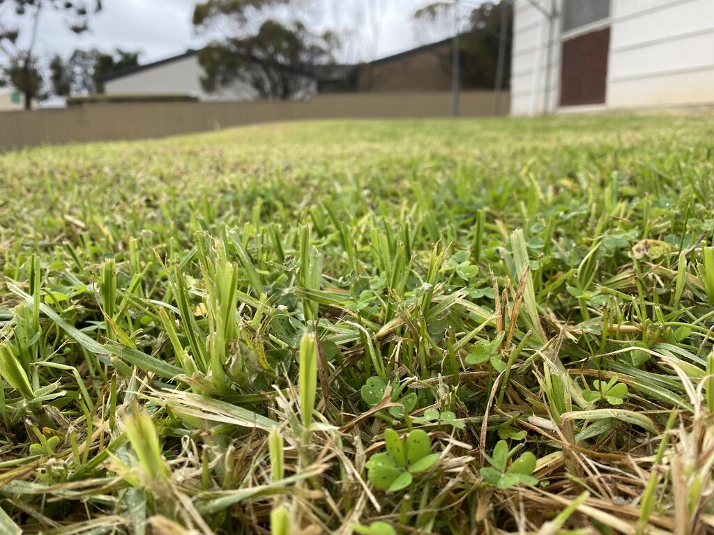 Marama ACT Accommodation Mt Buller
