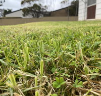 Karoonda Accommodation - Accommodation Mt Buller