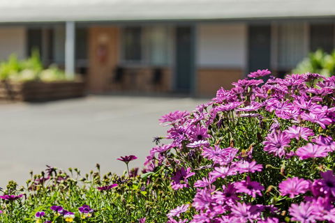 Maffra Motor Inn - Accommodation Mt Buller 2