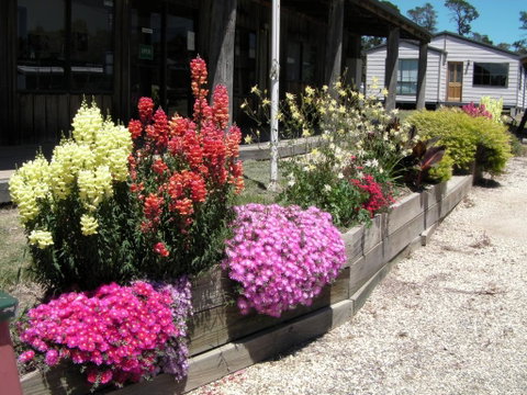 Mansfield Holiday Park - Accommodation Mt Buller 3