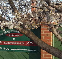 Mansfield Travellers Lodge - Accommodation Mt Buller