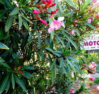 Mercury motor inn - Accommodation Mt Buller