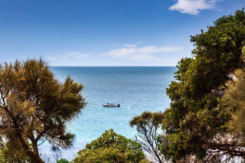 Mills Beach Retreat Luxury Family Retreat With Hydrotherapy Spa, Opposite Beach, Walk To Village - Accommodation Mt Buller 2