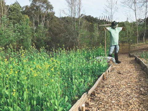 Mylor Farm, Adelaide Hills - Accommodation Mt Buller 1