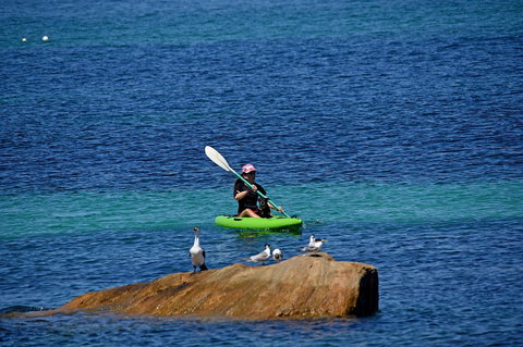 Sandpiper Retreat - Accommodation Mt Buller 29