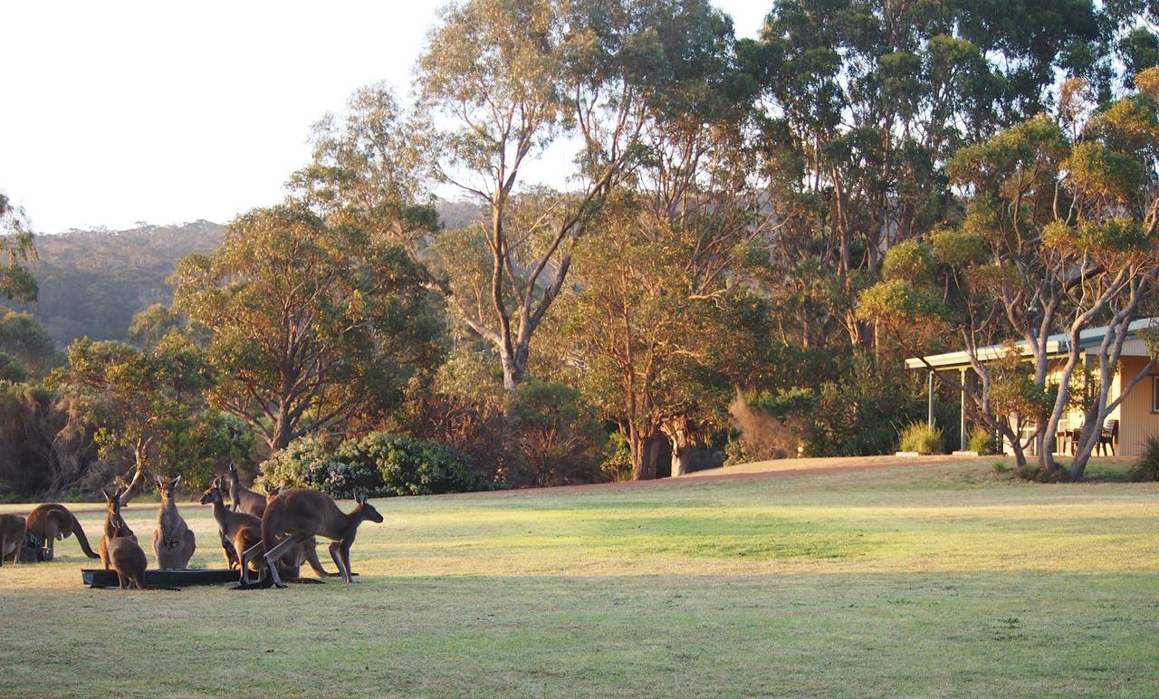 Accommodation Mt Buller