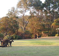 Riverside Retreat Chalets Walpole - Accommodation Mt Buller