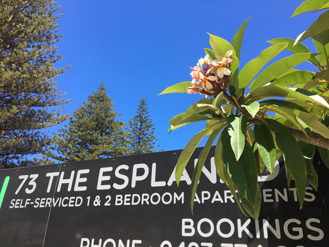 Esperance Central Accommodation - Accommodation Mt Buller 2