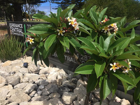 Esperance Central Accommodation - Accommodation Mt Buller 3