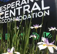 Esperance Central Accommodation - Accommodation Mt Buller