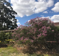 Cockburn Retreat Home  - Accommodation Mt Buller