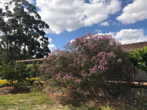 Cockburn Retreat Home æŸæ–¯æ‚ é–’æ°‘å®¿ - Accommodation Mt Buller 0