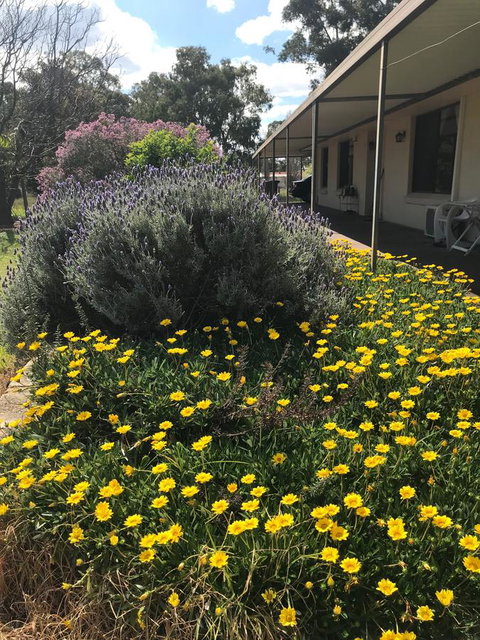 Cockburn Retreat Home æŸæ–¯æ‚ é–’æ°‘å®¿ - Accommodation Mt Buller 3