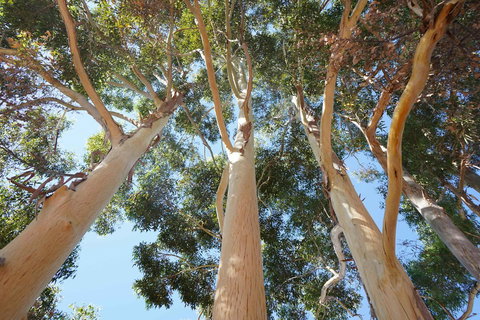 Cockburn Retreat Home æŸæ–¯æ‚ é–’æ°‘å®¿ - Accommodation Mt Buller 19