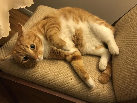 Cockburn Retreat Home æŸæ–¯æ‚ é–’æ°‘å®¿ - Accommodation Mt Buller 28