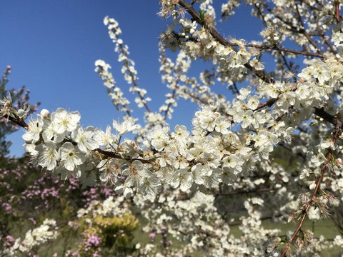 Cockburn Retreat Home æŸæ–¯æ‚ é–’æ°‘å®¿ - Accommodation Mt Buller 27