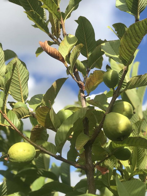 Cockburn Retreat Home æŸæ–¯æ‚ é–’æ°‘å®¿ - Accommodation Mt Buller 22