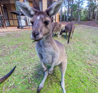 Yelverton Brook Eco Spa Retreat  Conservation Sanctuary - Accommodation Mt Buller