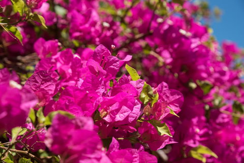 Jurien Bay Hotel Motel - Accommodation Mt Buller 3