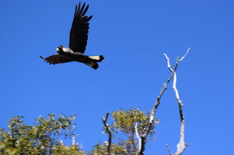 Eagle Bay House - Accommodation Mt Buller 8