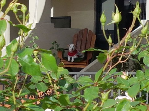 Como Executive Apartment - Accommodation Mt Buller 17